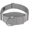 Country Brook Petz HossFit Jr Wide Martingale Dog Collar - Training Collar with No Buckle - Vibrant, Colorful Collection - 2 of 4