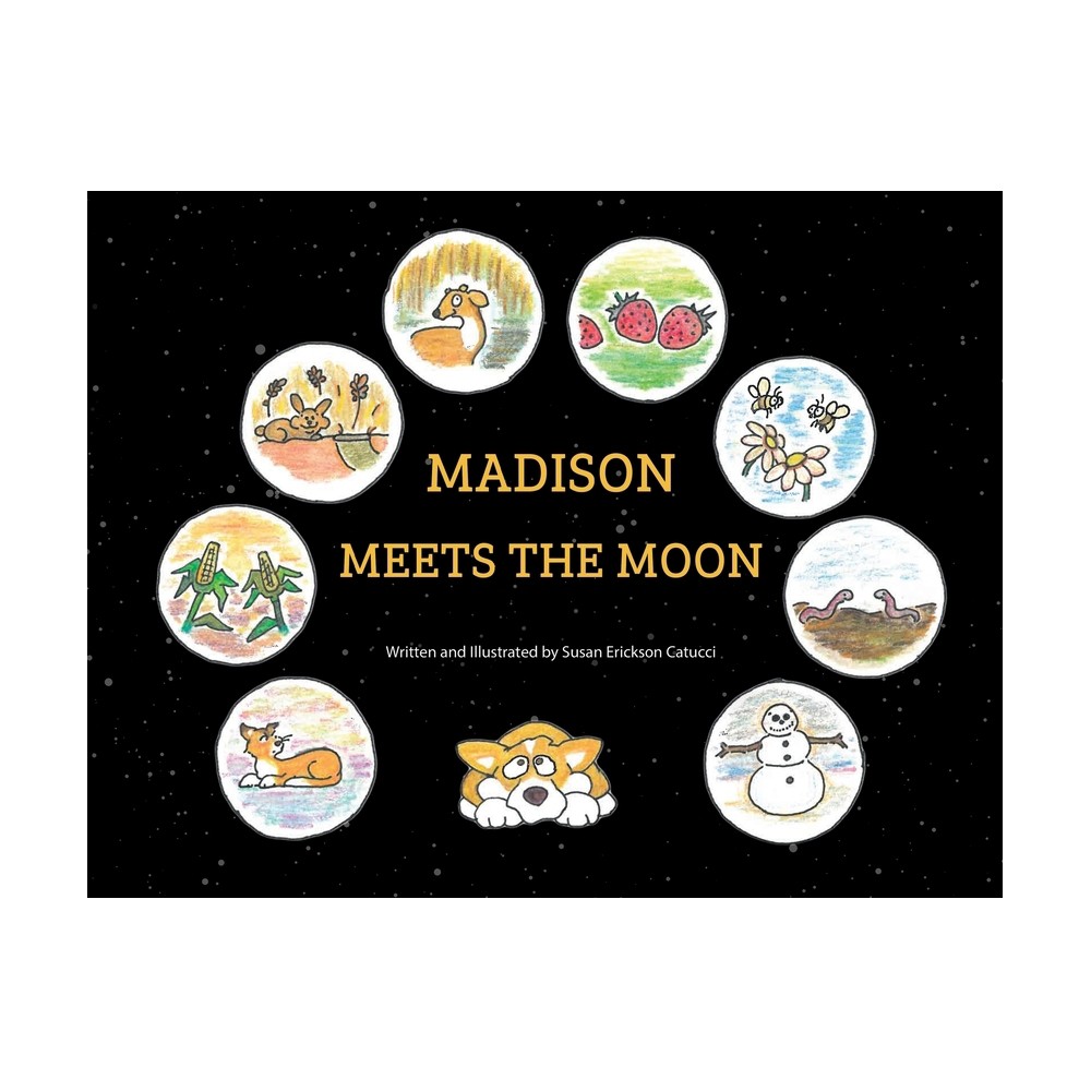 Madison Meets the Moon - by Susan Erickson Catucci (Paperback)