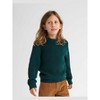 The Children's Place Boys Long Sleeve Shaker Stitch Sweater - 4 of 4