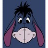 Boy's Winnie the Pooh Eeyore Face Portrait Pull Over Hoodie - 2 of 4