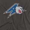 Campus Lab University of North Carolina Asheville Official Distressed Primary Logo Adult T Shirt - 2 of 4