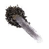 Bodyography Glitter Pigment 0.32oz - 2 of 3