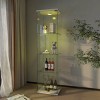 Glass Display Cabinet with Glass Doors & LED Lights, Glass Showcase with Shelves, Decorative Storage for Living Room – Cuddlewood - 3 of 4