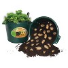 Emsco City Pickers Spud Potato Grow Kit Outdoor Novelty Planter - 3 of 4
