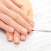 Unique Bargains Double Head Nail Painting Brushes for Polish Painting White 1 Pc - 2 of 4