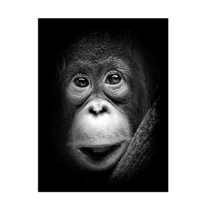 Antonyus Bunjamin 'Innocent' Canvas Art - 1 of 4