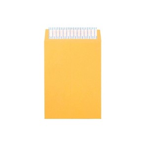 JAM Paper Peel & Seal Kraft Open End  Catalog Envelope 6 1/2" x 9 1/2" Brown 500/Pack (13034229C) - 1 of 3