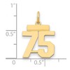 Black Bow Jewelry 14k Yellow Gold, Athletic Collection, Small Polished Number 75 Pendant - 2 of 3