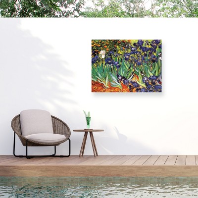 Trademark Fine Art - Vincent van Gogh Irises at Saint-Remy Outdoor Canvas Art