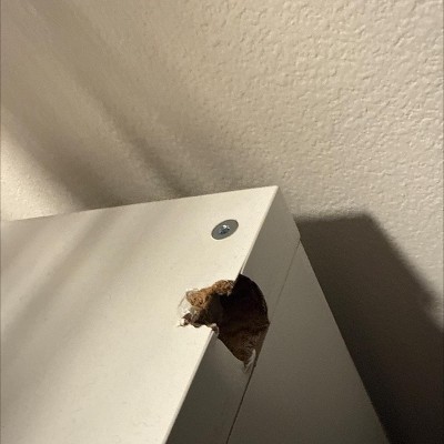 Guest review image 1 of 2, zoom in