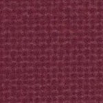 texas a&m aggies