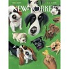 New York Puzzle Company Summer Treat 500 Piece Puzzle - 3 of 4