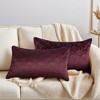 REGALWOVEN Velvet Solid Decorative Scallop Texture Modern Pillowcases 2 Pcs - 2 of 4