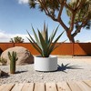 NAYSAYE Raised Garden Bed 15 Inch Round Corten Steel Pre Rusted Planter Box for Outdoor Gardening, White, 12"*15.5"*15.5" - 3 of 4