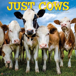 Willow Creek Press Cow's 2025 Wall Calendar: Monthly 12x12 Inch Paper, Blue, All Ages, Sewn Binding - 1 of 4