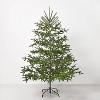 7' Pre Lit Spruce Christmas Artificial Tree - Hearth & Hand™ with Magnolia - 3 of 4