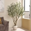 DR.Planzen Lifelike 6ft Artificial Olive Tree with Dual Trunk Design, White Round Planter Faux Olive Tree for Indoor Outdoor Home Decor - 3 of 4