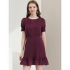 Allegra K Women's Elegant Short Sheer Sleeve Ruffle Hem Swiss Dots Chiffon Dress - 2 of 4