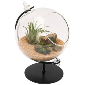 Panacea 7 in. H X 5 in. W X 4.5 in. D Glass Desktop Terrarium with Stand Black - 1 of 1