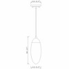 Arden 1-Light Pendant - Chic Iron Lighting with Elliptical Glass Shade, Damp Rated - 4 of 4