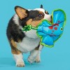 BARK Manny Ray Under the Seams Dog Toy - Blue/Red/Green - 4 of 4