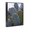 Stupell Industries Prickly Cactus Thorns Close Up Photography Desert Vegetation Framed Giclee Art, Black, 11" x 14" - 2 of 4