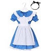 HalloweenCostumes.com Deluxe Toddler Alice Costume - image 2 of 4