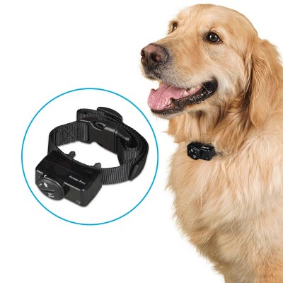 premier pet bark collar battery replacement