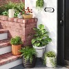 Banded Stoneware Indoor Outdoor Planter Pot - Threshold™ - image 2 of 4