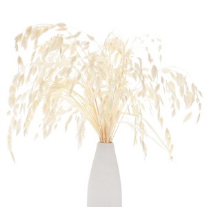 Unique Bargains Dried Grass Chasmanthium Oat Home Decor Flower Bouquet 1 Pc - 1 of 4