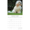 2026 Square Wall Calendar, Poodles, 16-Month Animals Theme with 180 Reminder Stickers (12x12 In) - 3 of 4