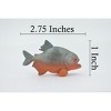 Collectible Wildlife Gifts | Fish, Red Bellied Pranha,  Museum Quality, Hand Painted, Realistic, Rubber Fish, Model,  Toy, Gift,  2 3/4" CH505 BB156 - 3 of 4