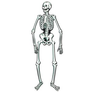 Beistle 4' 7" Jointed Skeletons; 3/Pack 01186 - 1 of 1