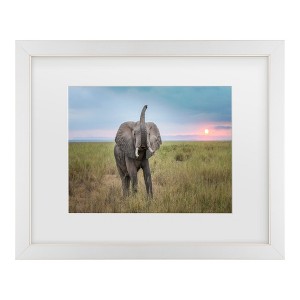 Trademark Fine Art - Jeffrey C. Sink King of the domain Matted Framed Art - 1 of 4