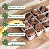Envelor Coco Coir Seed Starter Pellets for Seed Starter Tray - 3 of 4