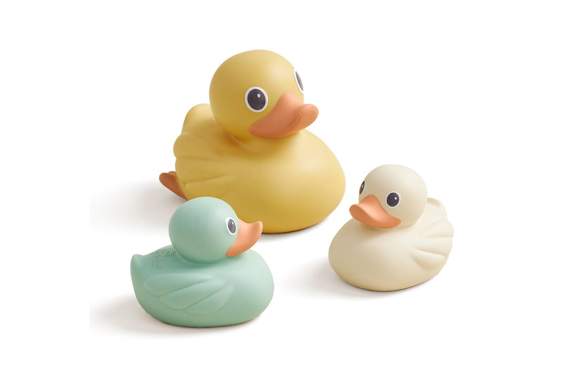 Itzy Ritzy Ducky Family