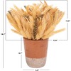 Artificial Plant - Faux 14" Wheat Eat Potted Arrangement - FXP1059 - Multicolored - Safavieh - 4 of 4