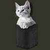 Junior's Design By Humans Pocket Kitten By Mitxeldotcom T-Shirt - 2 of 3