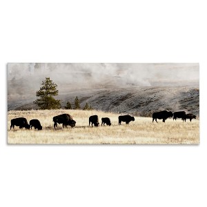 Stupell Industries Grazing Bison Foggy Countryside, 24" x 10" - 1 of 4