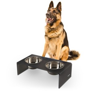 THE LICKER STORE Keaton Modern Acrylic Rectangular Elevated Pet Feeder - 1 of 4
