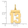 Black Bow Jewelry 14k Yellow Gold, Athletic Collection, Small Polished Number 13 Pendant - 4 of 4
