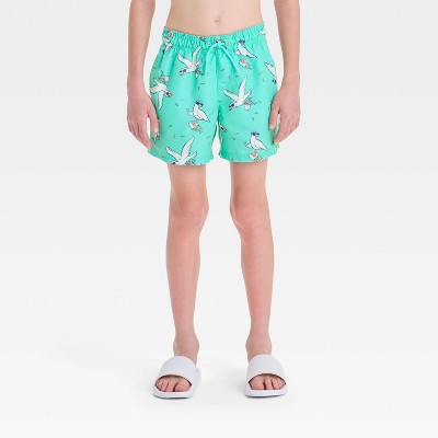 Boys' Bird Printed Swim Shorts - Cat & Jack™ Aqua Green