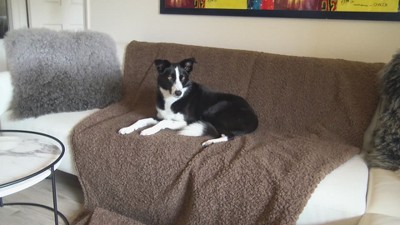 Large Gray Faux Fur Waterproof Reversible Sofa Blanket