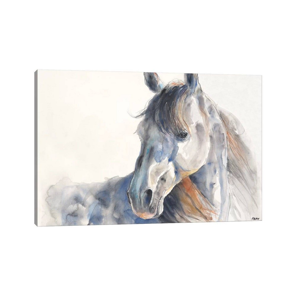 iCanvas 12"x18" Looking Back by Patti Mann Canvas Print Wall Art