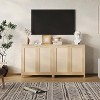 2-Door Rattan Storage Cabinet, Storage Cabinet with Adjustable Shelf - 4 of 4