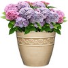 Classic Home and Garden Indoor/Outdoor Round Corinthian Resin Flower Pot Planter - 2 of 4