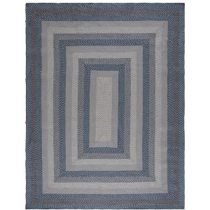 Braided BRD652 Flat Weave Rug - Safavieh - 1 of 4