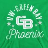 University of Wisconsin-Green Bay Official Phoenix Adult Pull-Over Hoodie - 2 of 4