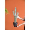 DOMETOUR 8x5x24.5"H Artificial Saguaro Cactus in Black Pot for Modern Indoor Decor Summer Home Decor - 3 of 4