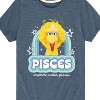 Boys' - Sesame Street - Pisces Big Bird Short Sleeve Graphic T-Shirt - 2 of 4